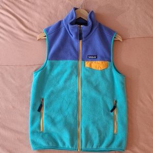 Patagonia Synchilla Vest